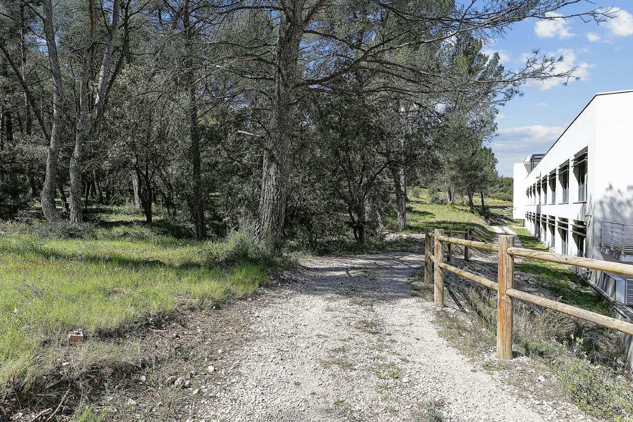 Bureau Aix-en-Provence 2416m² Location bureau Aix-en-Provence Bouches-du-Rhône OLBUR2115060 1